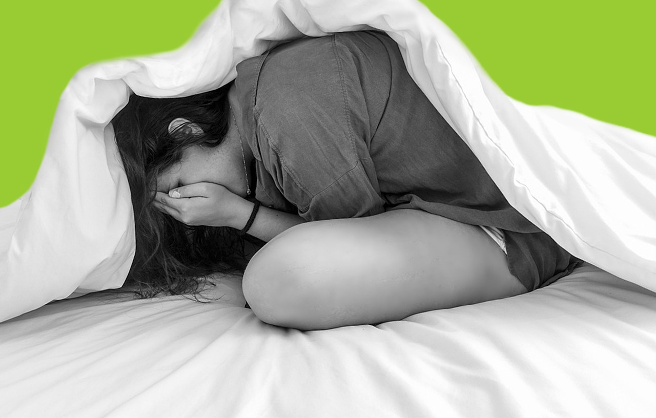 Von Angst zu Faszination: So helfen dir Springspinnen, deine Arachnophobie zu bekämpfen