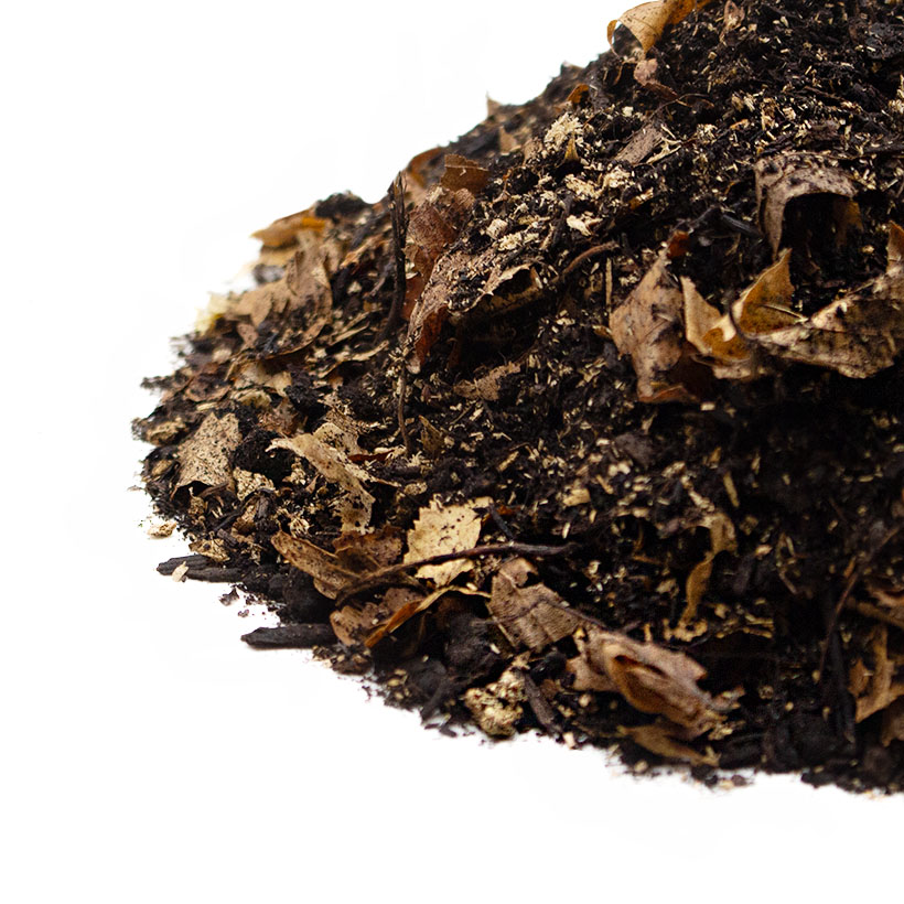 Tausendfüßer-Substrat