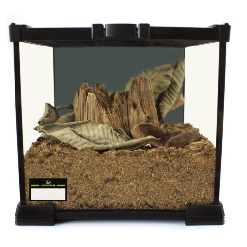 Käfer Terrarium Komplettset