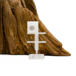 Springspinnen Baumhaus ohne Dose