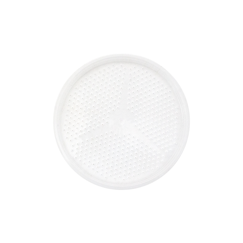 Aufzuchtdosen mit perforiertem Deckel