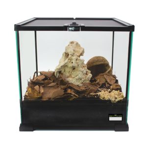 Assel-Terrarium-Komplettset-eingerichtet-2.jpg