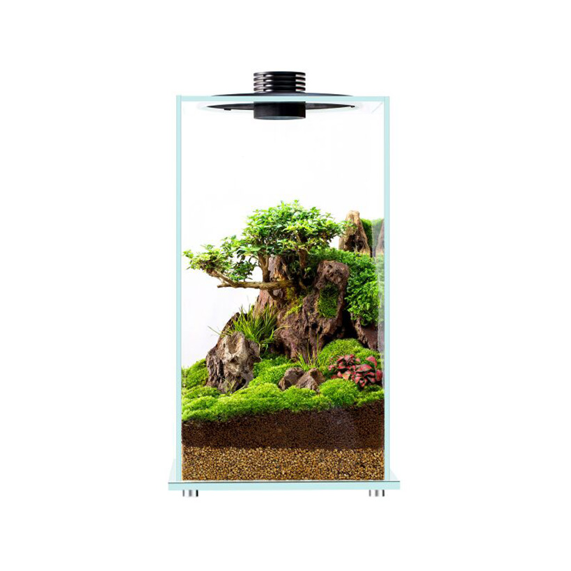 Bioloark-Bio-Terrarium-LED-FD200-Moos-2.jpg
