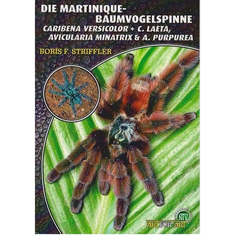 Die-Martinique-Baumvogelspinne-2.jpg