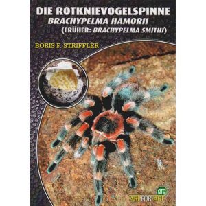 Die-Rotknievogelspinne-2.jpg