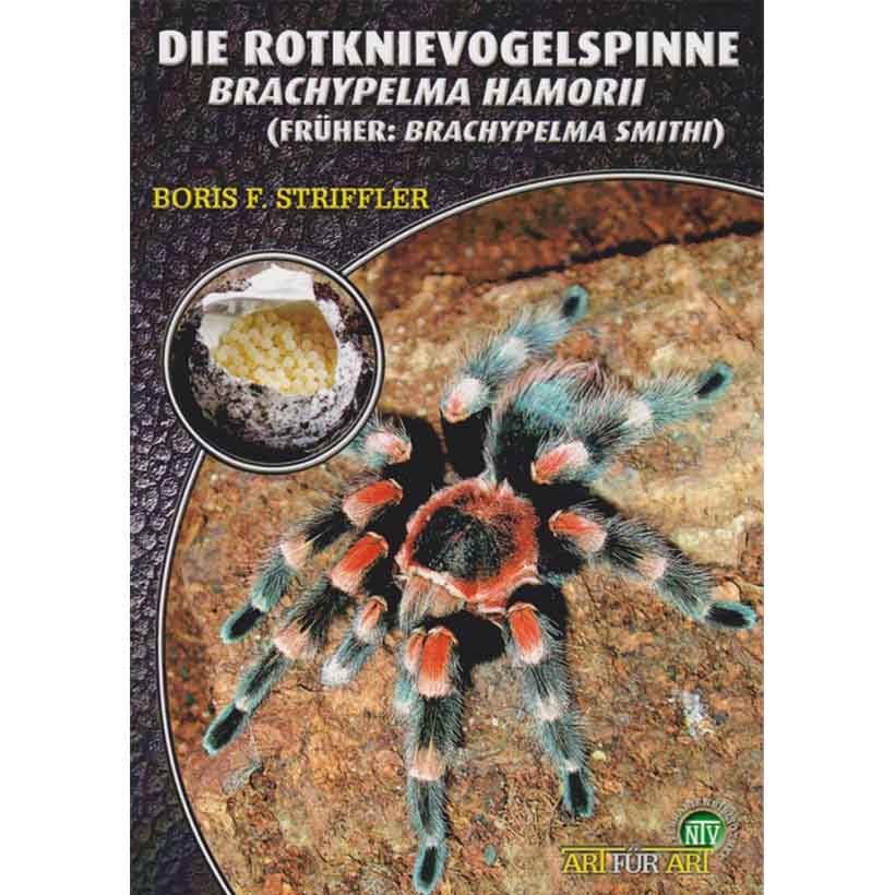 Die-Rotknievogelspinne-2.jpg
