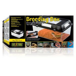 Exo-Terra-Breeding-Box-M-2.jpg