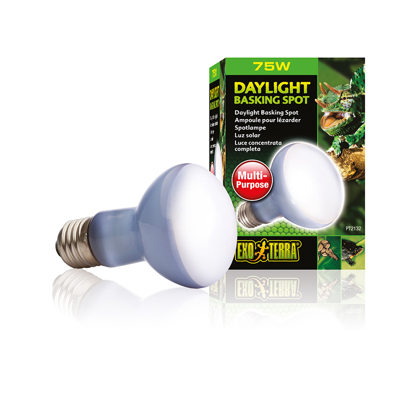 Exo-Terra-Daylight-Basking-Spot-2.jpg