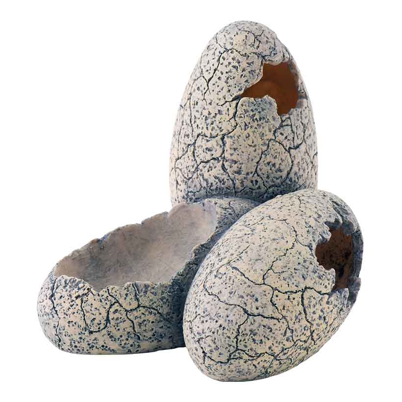 Exo-Terra-Dinosaurier-Eier-2.jpg