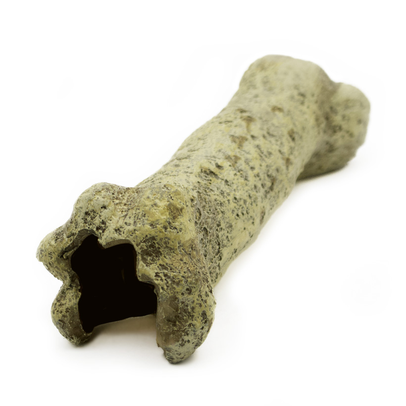 Exo-Terra-Dinosaurier-Knochen-mit-Hoehle-2.jpg