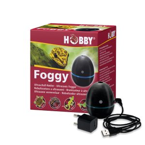 Hobby-Foggy-2.jpg