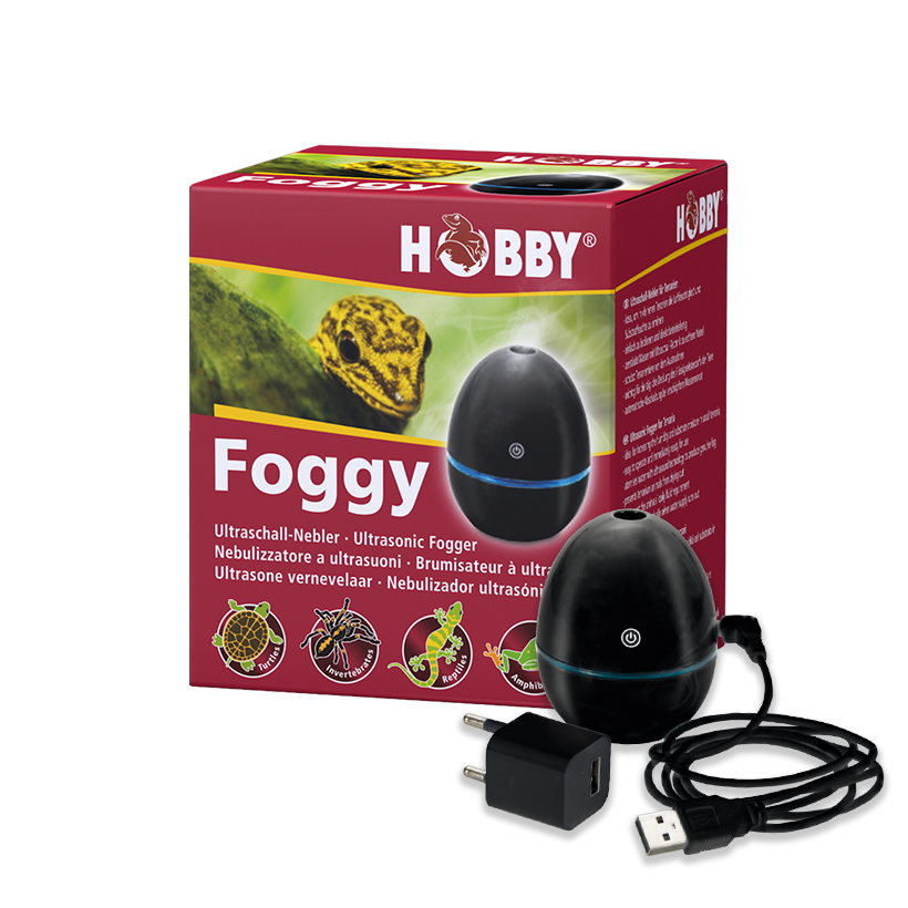 Hobby-Foggy-2.jpg