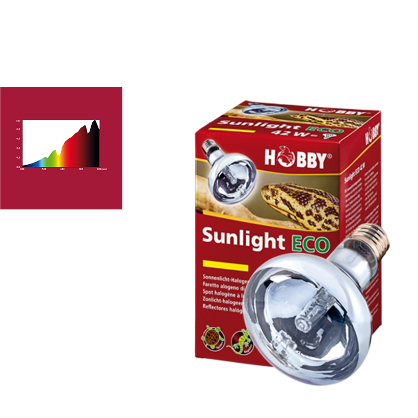 Hobby-Sunlight-Eco-2.jpg