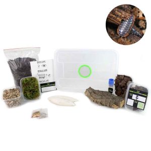 Insektenliebe-Assel-Komplettset-mit-Armadillidium-klugii-3.jpg