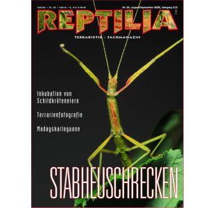 REPTILIA-24-cricket-2.jpg