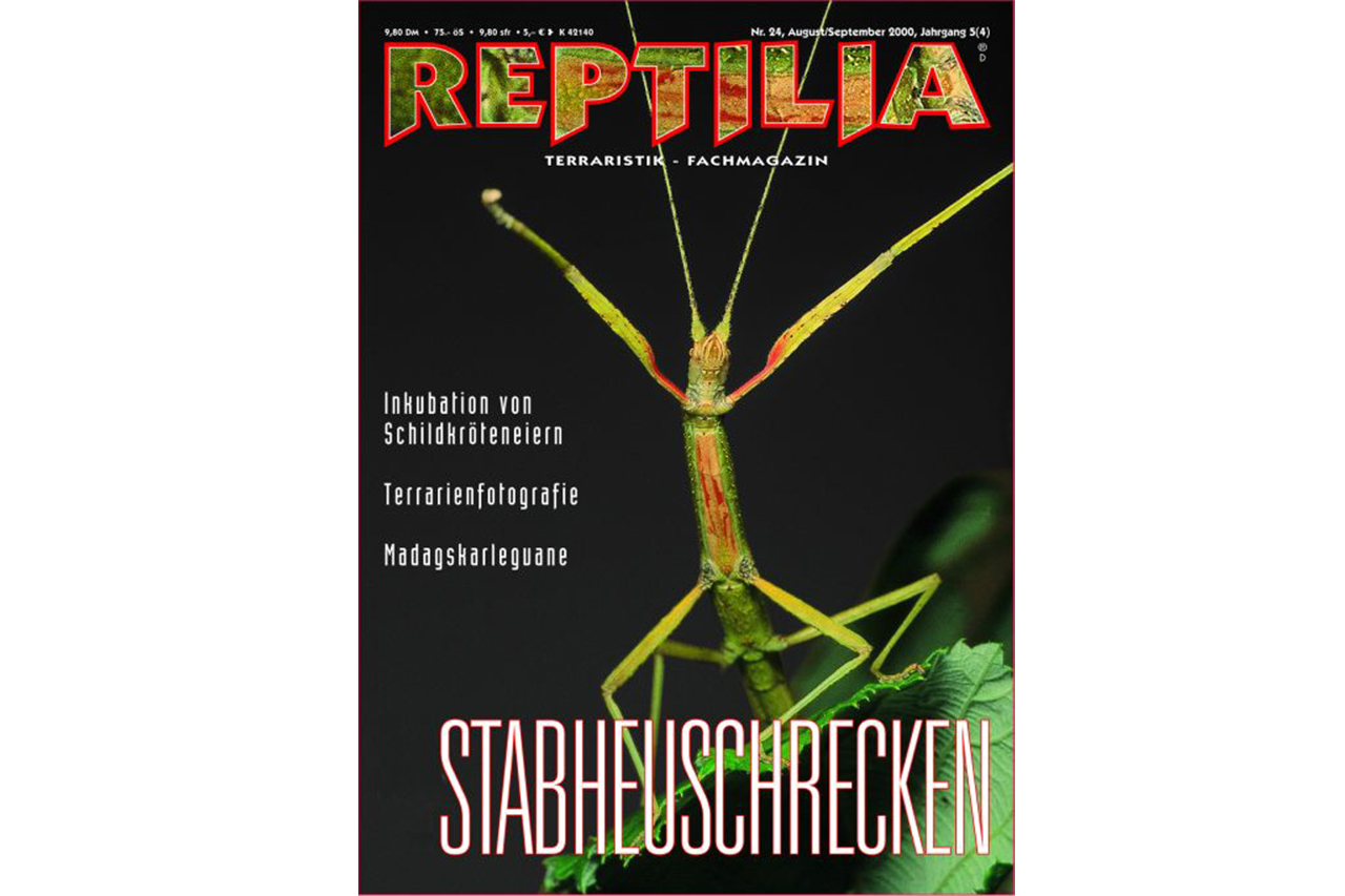 REPTILIA-24-Stabheuschrecken-2.jpg