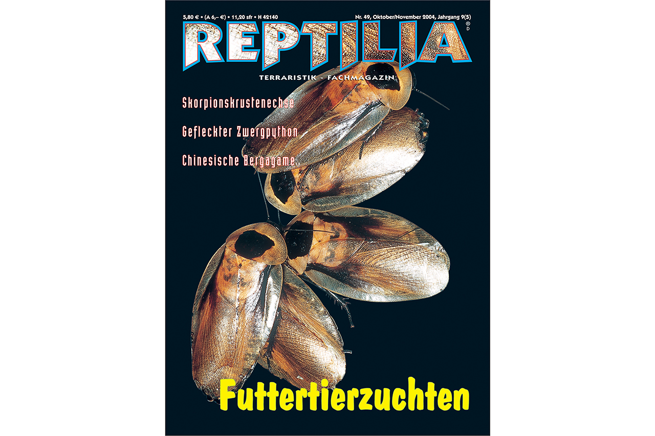 REPTILIA-49-Futtertierzuchten-2.jpg