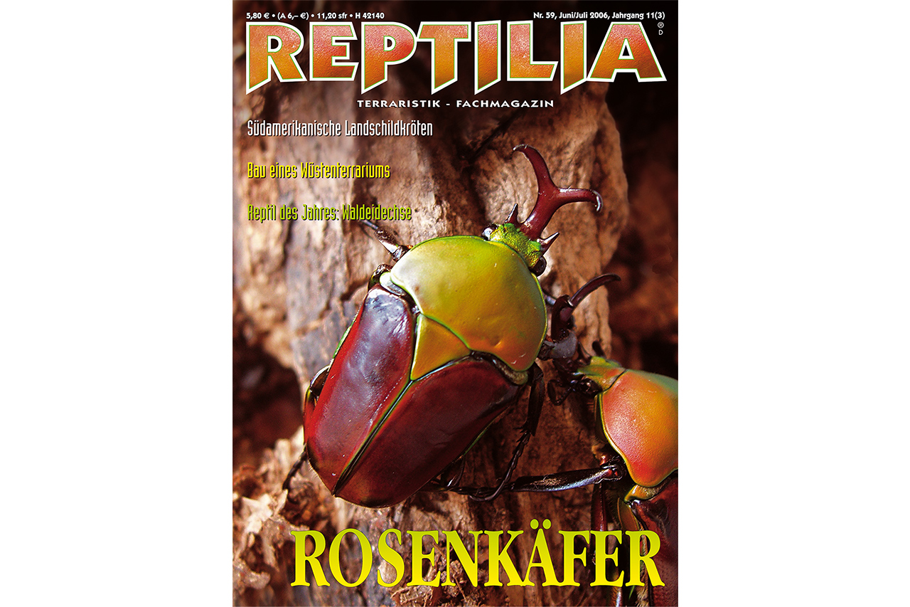 REPTILIA-59-Rosenkaefer-2.jpg