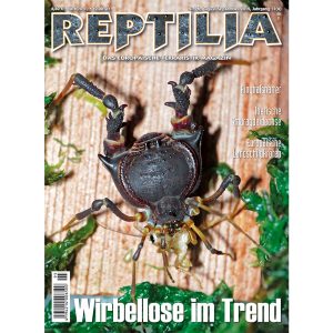REPTILIA-96-Wirbellose-im-Trend-2.jpg