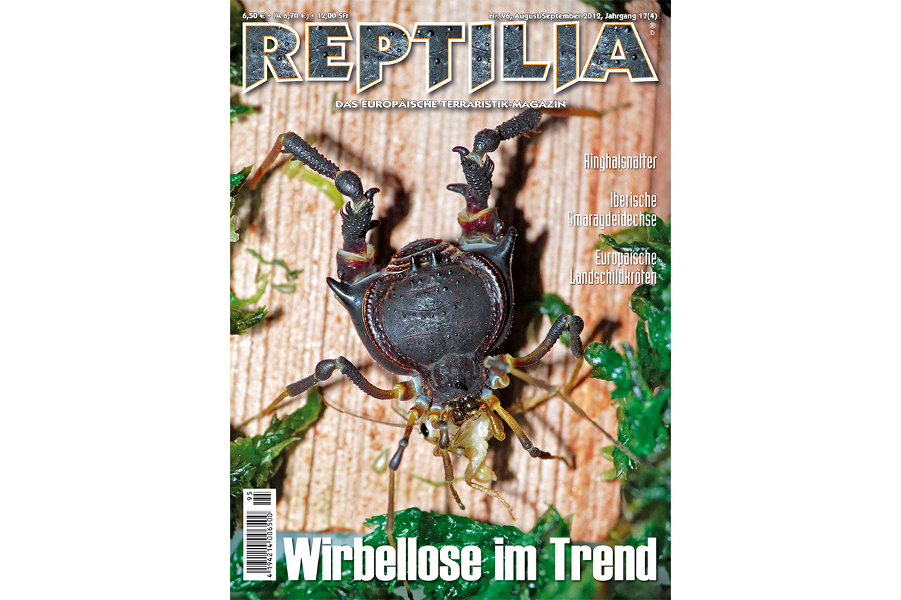 REPTILIA-96-Wirbellose-im-Trend-2.jpg