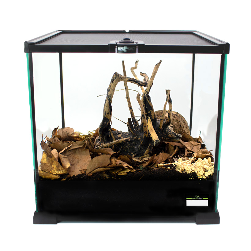Tausendfuesser-Terrarium-Komplettset-2.jpg
