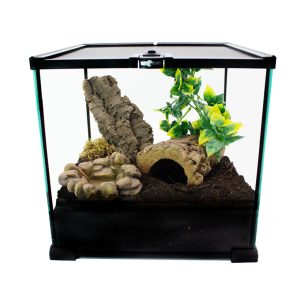 Vogelspinnen-Skorpion-Terrarium-Komplettset-2.jpg