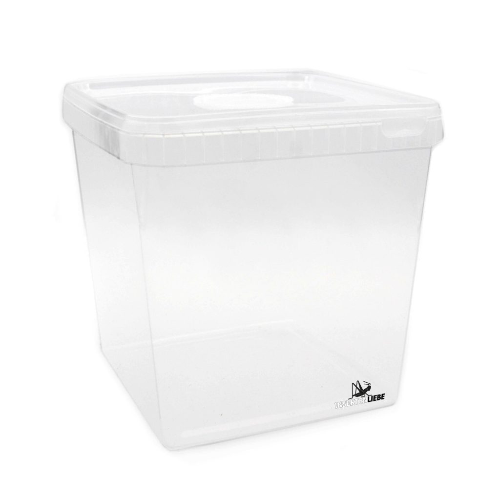 braplast-avec-ventilation-scaled-3.jpg