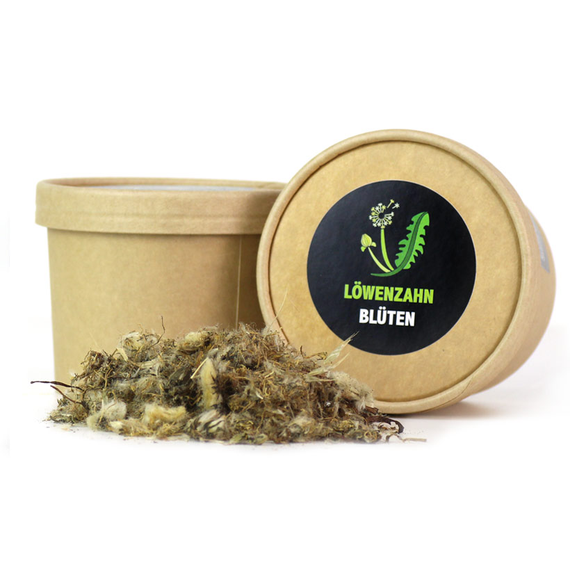 loewenzahn-1-2.jpg