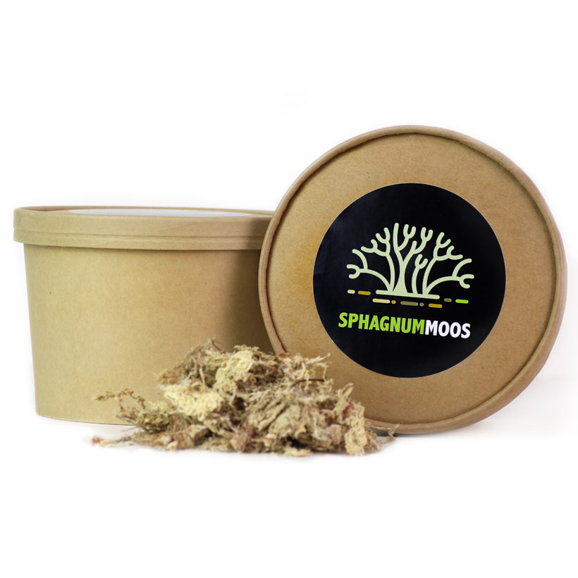 sphagnum-moos-3-2.jpg