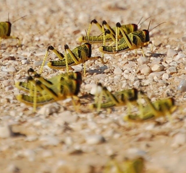 dsc_0187-e1505212236992