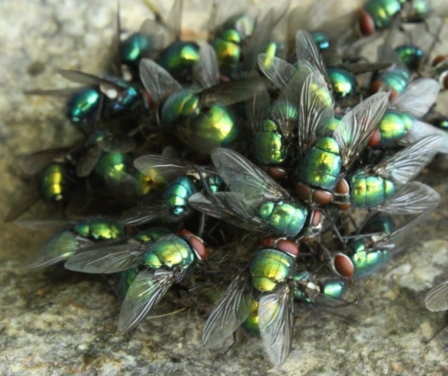 img_5505-e1505212897223