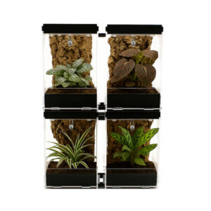 Insektenliebe Acrylterrarien Bundle