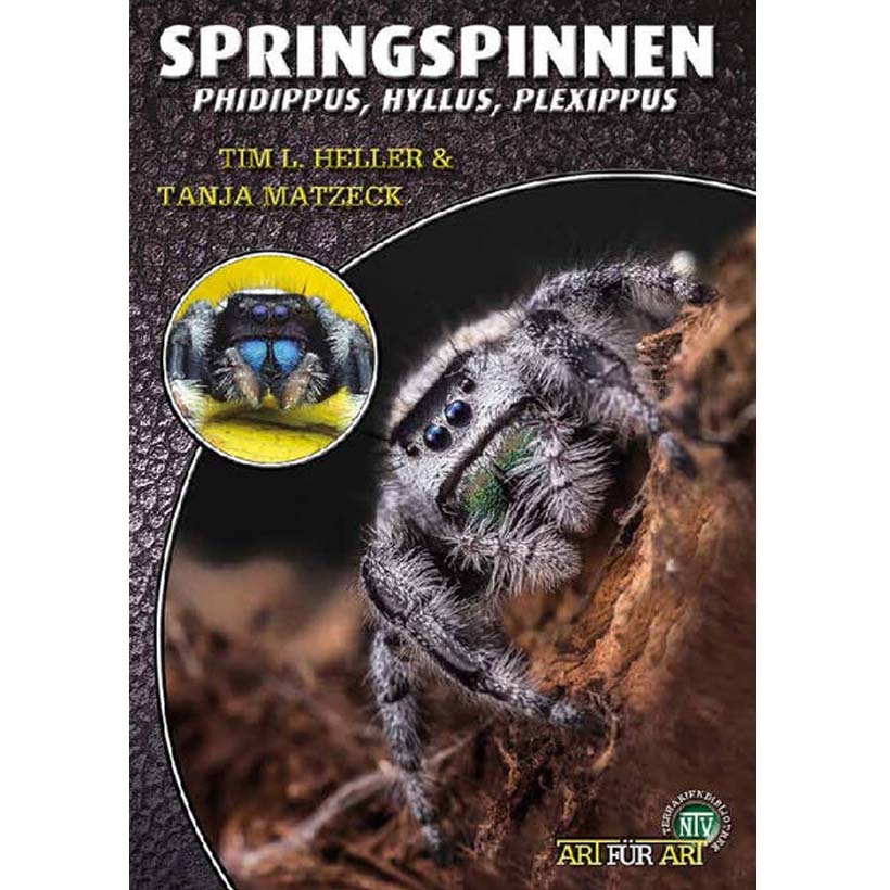Art für Art Springspinnen