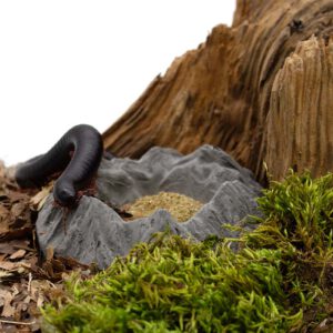 Insektenliebe Futterfels- Tausendfüßer