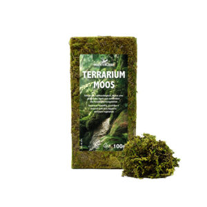 Insektenliebe Terrarium Moos