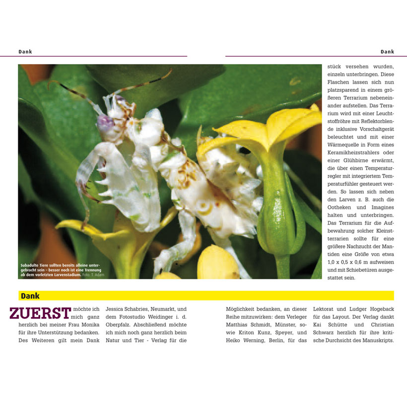 Blütenmantiden-Leseprobe 3