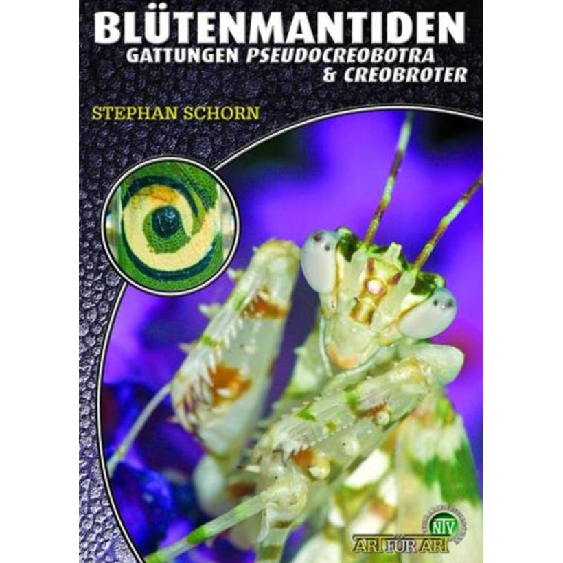 Art für Art Blütenmantiden