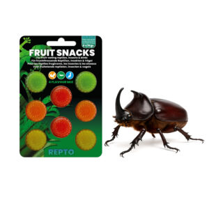 Repto Fruit Snacks Mix