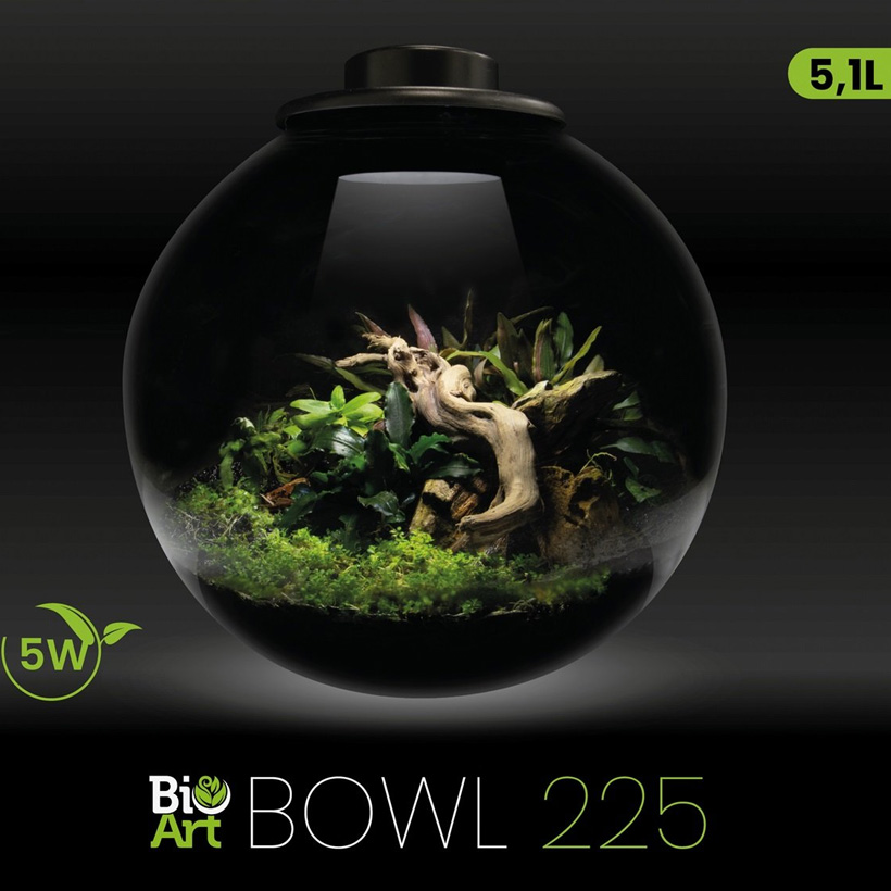 BioArt Bowl 225-Front