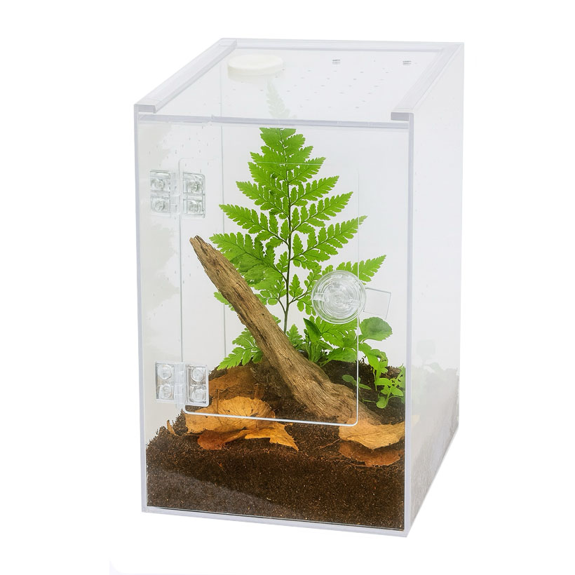 Repto Terra Clear Deluxe-Eingerichtet