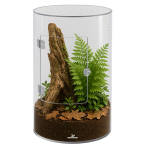 Repto Terra Clear cylinder-equipped