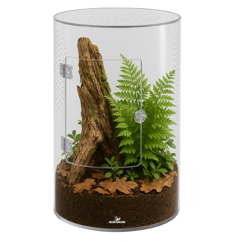 Repto Terra Clear Zylinder-eingerichtet