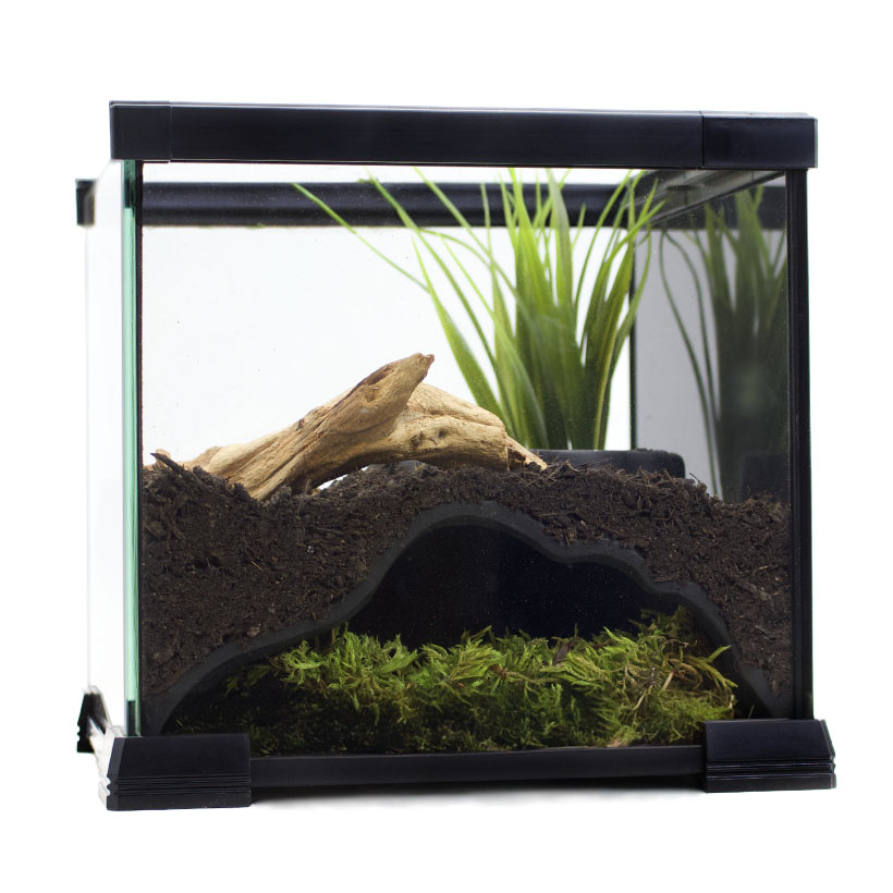 Terrarium Höhle-eingerichtet