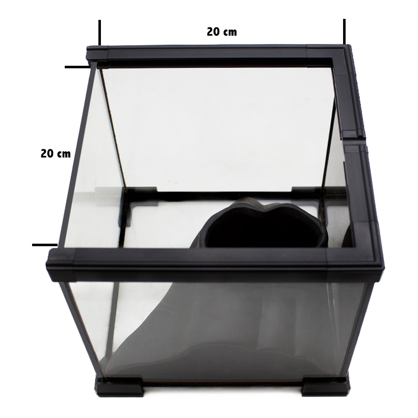 Terrarium Höhle- im Terrarium