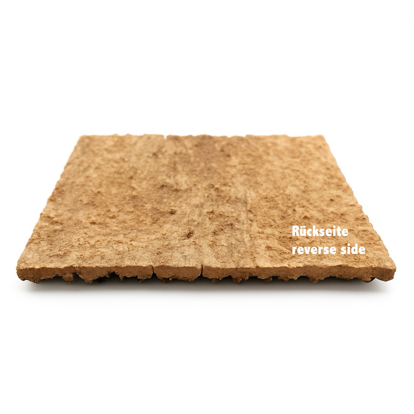 Insektenliebe Korkrückwand-Rückseite gelegt