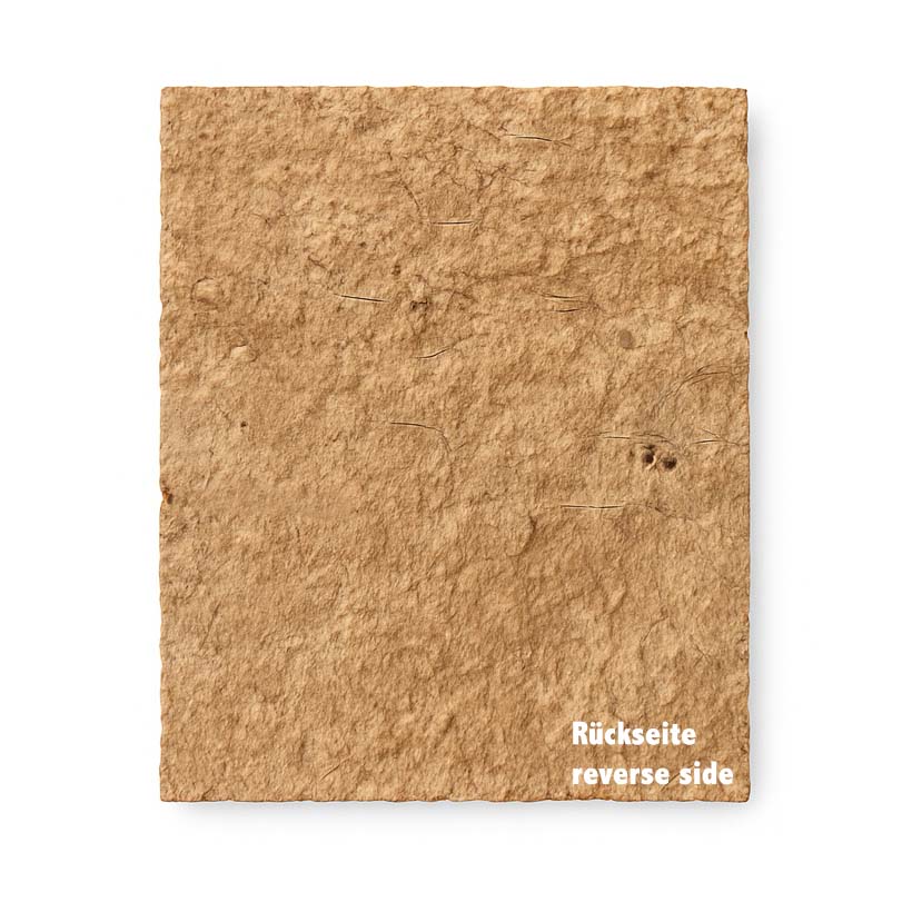 Insektenliebe Korkrückwand-Rückseite