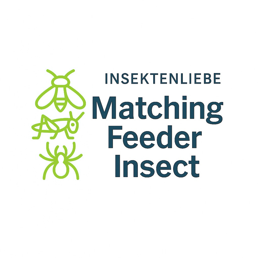 Matching Feeder Insect