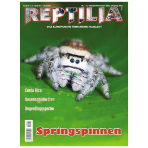 REPTILIA 175 Jumping spiders
