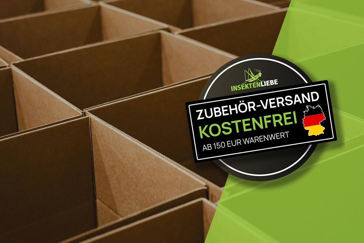 insektenliebe-kostenloser-versand-ab-150-euro