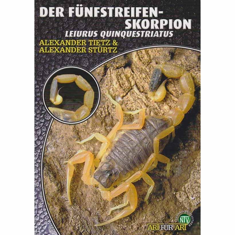 Der Fünfstreifen-Skorpion